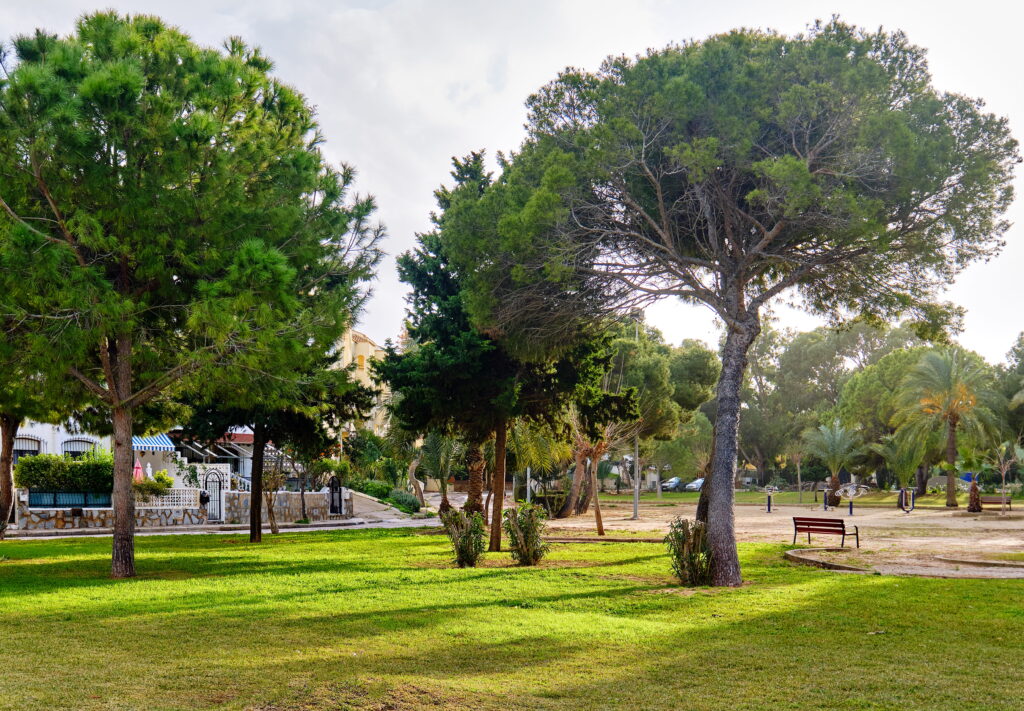 Parques en Alicante: guía completa